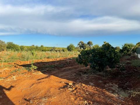 Moradia Térrea, Olhão