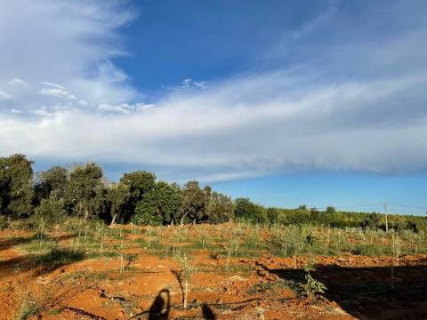 Moradia Térrea, Olhão