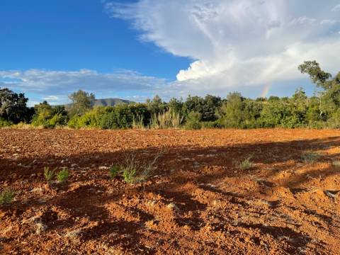 Moradia Térrea, Olhão