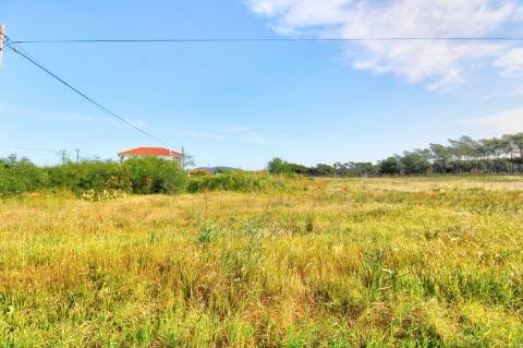 Terreno rustico com grande potencial