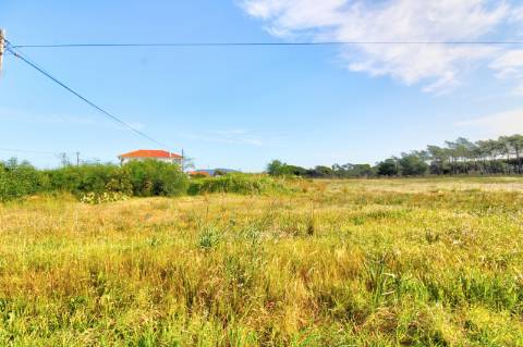 Terreno rustico com grande potencial