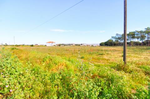 Terreno rustico com grande potencial