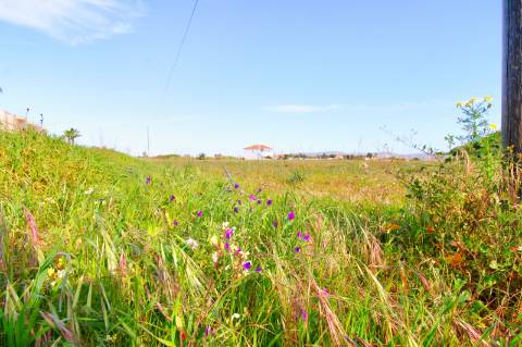 Terreno rustico com grande potencial