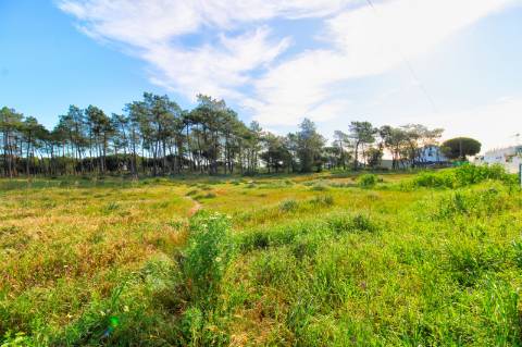 Terreno rustico com grande potencial