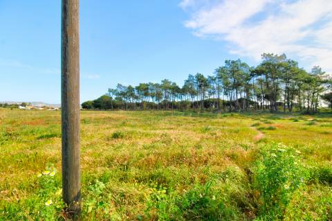 Terreno rustico com grande potencial