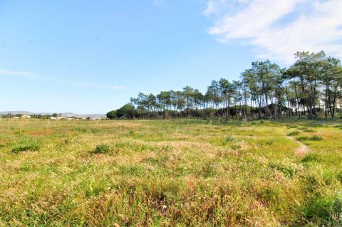 Terreno rustico com grande potencial