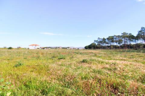 Terreno rustico com grande potencial