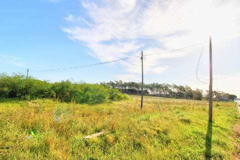 Terreno rustico com grande potencial