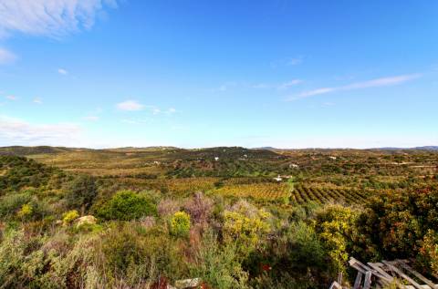 O terreno com projecto de Hotel 5 estrelas.