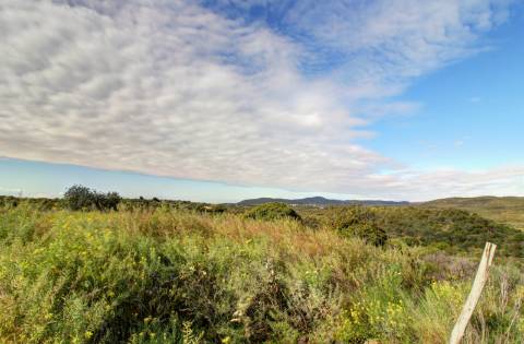 O terreno com projecto de Hotel 5 estrelas.