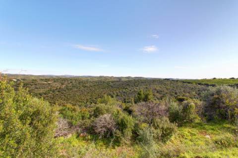 O terreno com projecto de Hotel 5 estrelas.