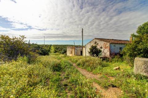 O terreno com projecto de Hotel 5 estrelas.