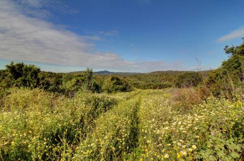 O terreno com projecto de Hotel 5 estrelas.