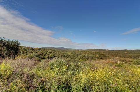 O terreno com projecto de Hotel 5 estrelas.
