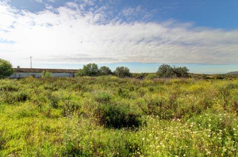 O terreno com projecto de Hotel 5 estrelas.