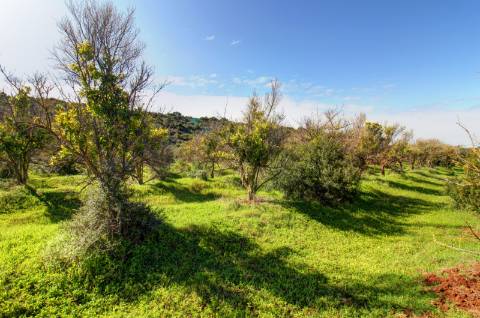O terreno com projecto de Hotel 5 estrelas.