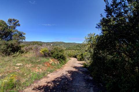 O terreno com projecto de Hotel 5 estrelas.