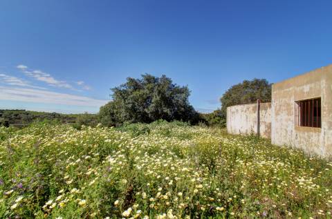 O terreno com projecto de Hotel 5 estrelas.