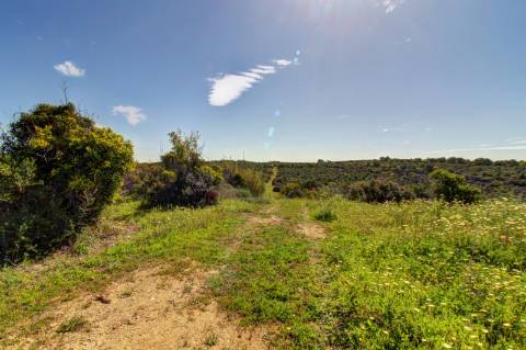 O terreno com projecto de Hotel 5 estrelas.