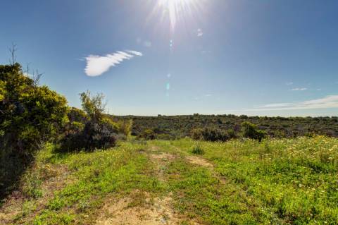 O terreno com projecto de Hotel 5 estrelas.