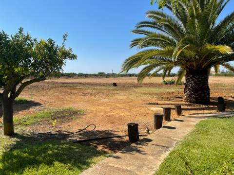 Moradia Geminada, T3, Arrendamento temporário, SETEMBRO A JUNHO, Tavira