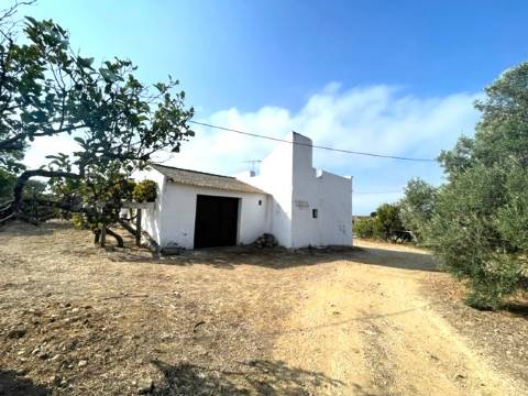 FANTÁSTICA QUINTA RURAL, BIAS DO SUL