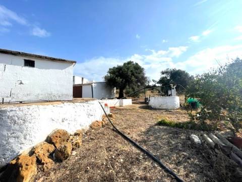 FANTÁSTICA QUINTA RURAL, BIAS DO SUL