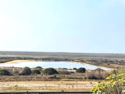 FANTÁSTICA QUINTA RURAL, BIAS DO SUL