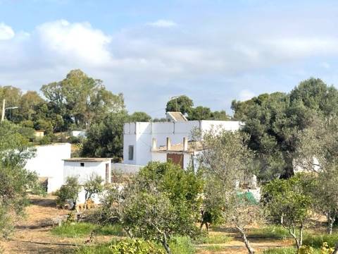 FANTÁSTICA QUINTA RURAL, BIAS DO SUL