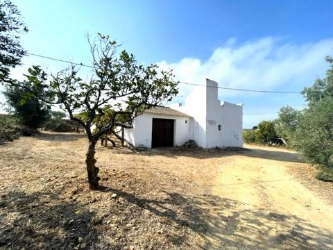 FANTÁSTICA QUINTA RURAL, BIAS DO SUL