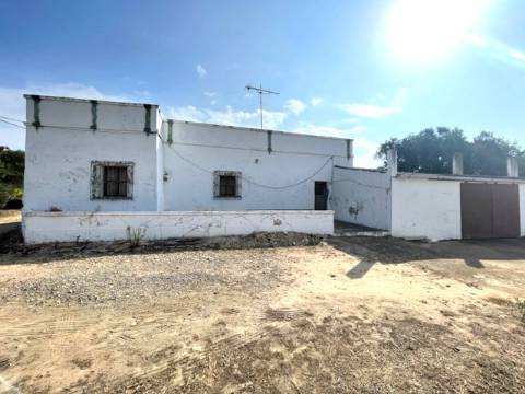 FANTÁSTICA QUINTA RURAL, BIAS DO SUL