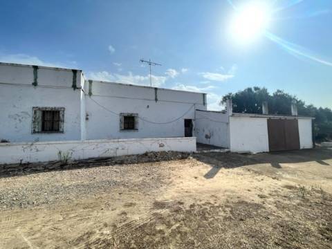 FANTÁSTICA QUINTA RURAL, BIAS DO SUL