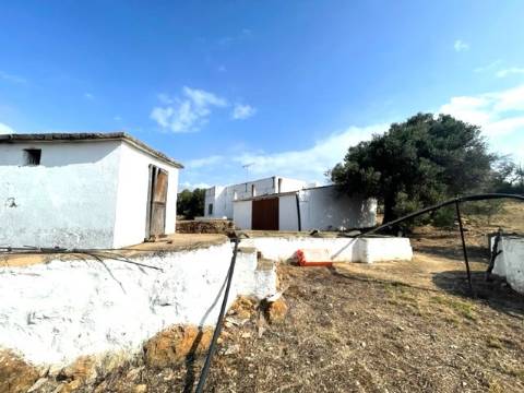 FANTÁSTICA QUINTA RURAL, BIAS DO SUL