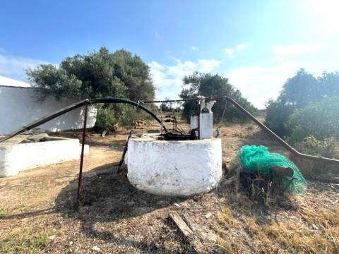 FANTÁSTICA QUINTA RURAL, BIAS DO SUL