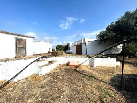 FANTÁSTICA QUINTA RURAL, BIAS DO SUL