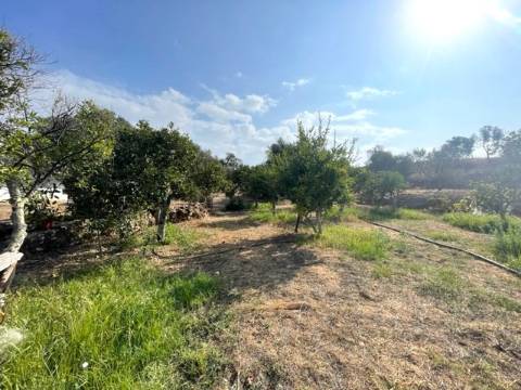 FANTÁSTICA QUINTA RURAL, BIAS DO SUL