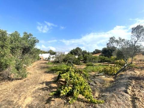 FANTÁSTICA QUINTA RURAL, BIAS DO SUL