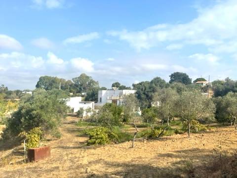 FANTÁSTICA QUINTA RURAL, BIAS DO SUL