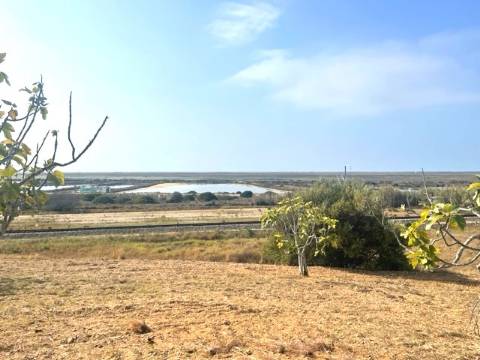 FANTÁSTICA QUINTA RURAL, BIAS DO SUL