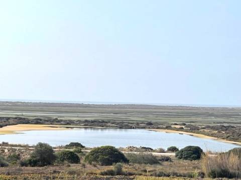 FANTÁSTICA QUINTA RURAL, BIAS DO SUL