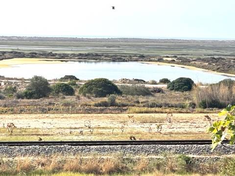 FANTÁSTICA QUINTA RURAL, BIAS DO SUL