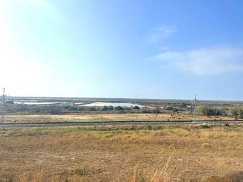 FANTÁSTICA QUINTA RURAL, BIAS DO SUL