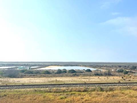 FANTÁSTICA QUINTA RURAL, BIAS DO SUL