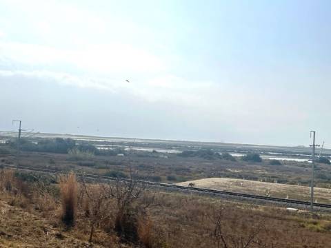 FANTÁSTICA QUINTA RURAL, BIAS DO SUL