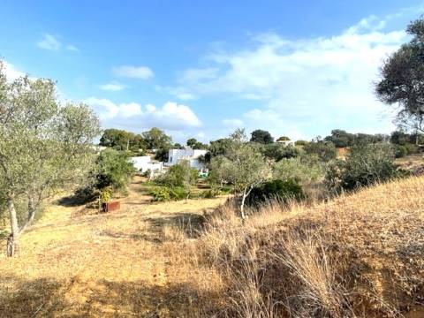 FANTÁSTICA QUINTA RURAL, BIAS DO SUL