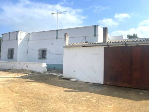 FANTÁSTICA QUINTA RURAL, BIAS DO SUL