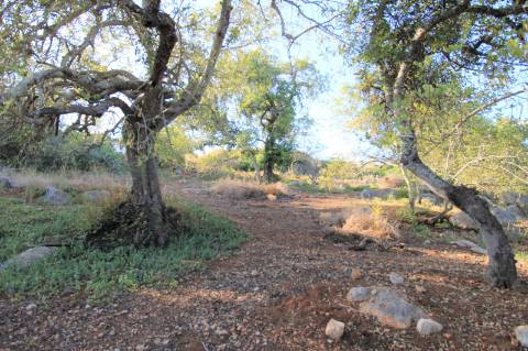 Magnifico terreno, Ruina para Recuperar, Vista Mar