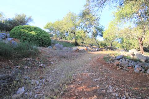 Magnifico terreno, Ruina para Recuperar, Vista Mar