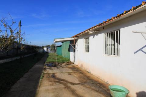 Terreno com casa e armazem, Faro
