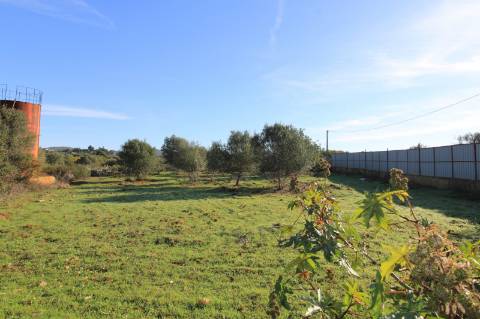 Terreno com casa e armazem, Faro